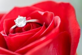 Rosa vermelha - História de Amor